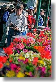 alto adige, bolzano group, dolomites, europe, flowers, gang of six, italy, jackie, vertical, photograph