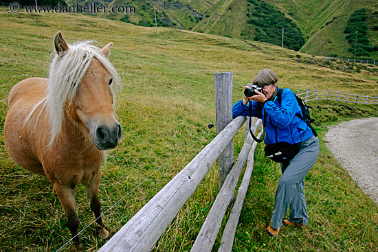 jackie-photo-horse-1.jpg