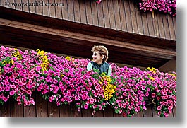 alto adige, bolzano group, dolomites, europe, flowers, gang of six, horizontal, italy, sandy, photograph