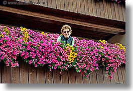 alto adige, bolzano group, dolomites, europe, flowers, gang of six, horizontal, italy, sandy, photograph