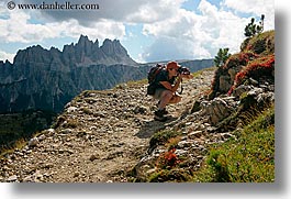 alto adige, cortina group, dolomites, europe, flowers, horizontal, italy, jackie, jackie essex, photograph