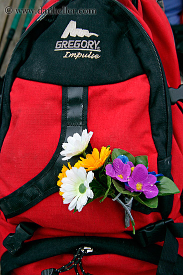 backpack-flowers.jpg