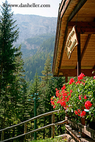 balcony-geraniums.jpg