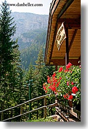 alto adige, balconies, dolomites, europe, flowers, geraniums, italy, vertical, photograph