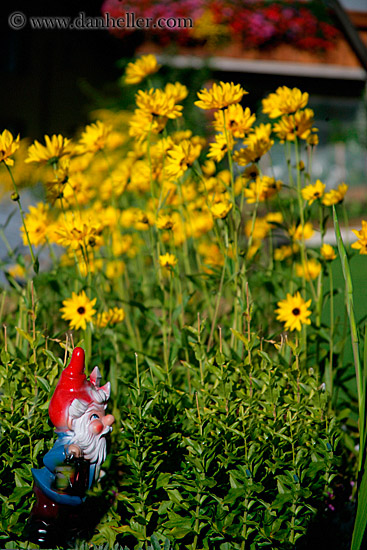 garden-gnome-2.jpg
