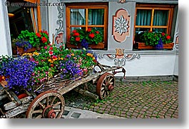 alto adige, dolomites, europe, flower cart, flowers, horizontal, italy, moseralm, photograph