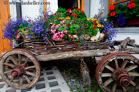 moseralm-flower_cart-3.jpg