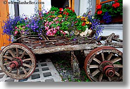 alto adige, dolomites, europe, flower cart, flowers, horizontal, italy, moseralm, photograph