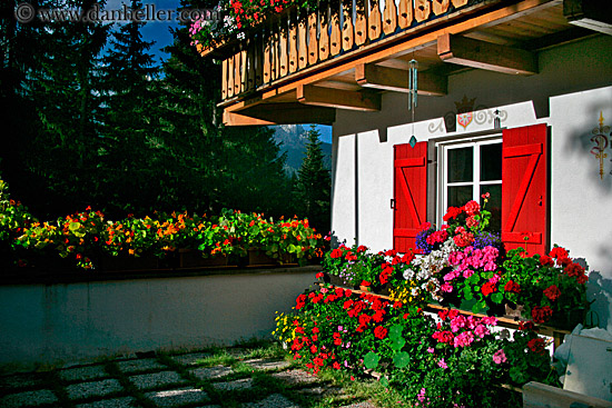 moseralm-flowers-1.jpg