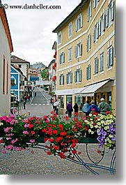 alto adige, dolomites, europe, flowers, italy, ulrich, vertical, photograph