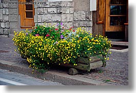 alto adige, dolomites, europe, flowers, horizontal, italy, streets, photograph