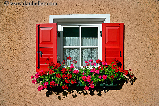 window-flowers-02.jpg