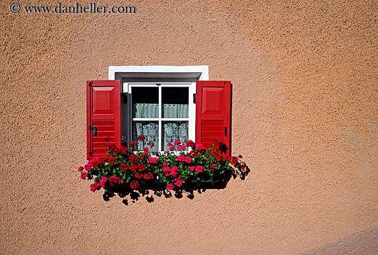 window-flowers-03.jpg
