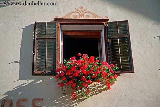 window-flowers-04.jpg