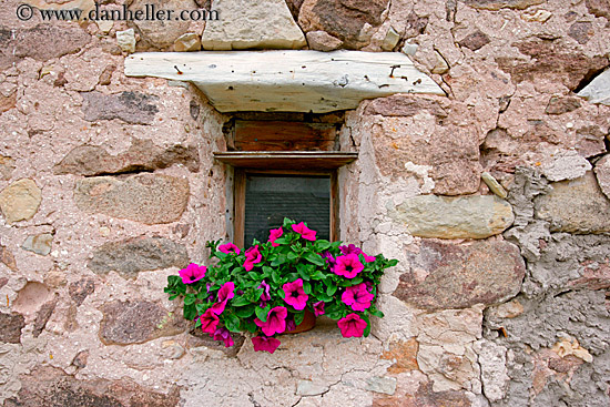 window-flowers-05.jpg