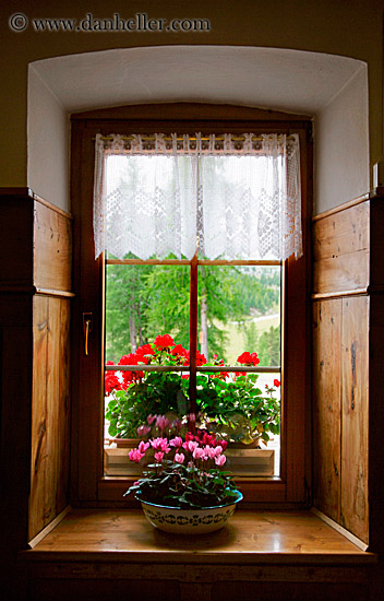 window-flowers-09.jpg