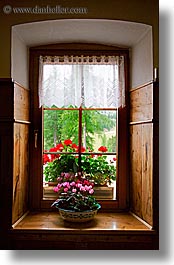 alto adige, dolomites, europe, flowers, italy, vertical, windows, photograph