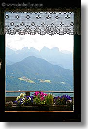 alto adige, dolomites, europe, flowers, italy, vertical, windows, photograph