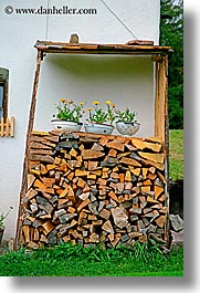 alto adige, dolomites, europe, flowers, italy, vertical, woods, photograph