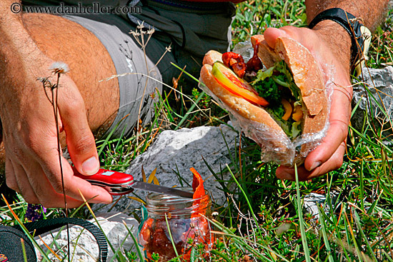 picnic-sandwich.jpg