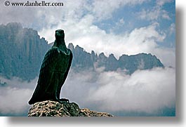 images/Europe/Italy/Dolomites/Misc/eagle-statue-2.jpg