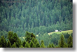 alto adige, dolomites, europe, forests, horizontal, houses, italy, nature, photograph