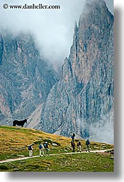 alto adige, dolomites, europe, fog, horses, italy, rasciesa, rasciesa massif, vertical, photograph