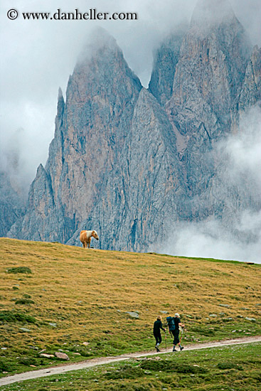 rasciesa-horses-in-fog-04.jpg