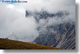 alto adige, dolomites, europe, fog, horizontal, horses, italy, rasciesa, rasciesa massif, photograph