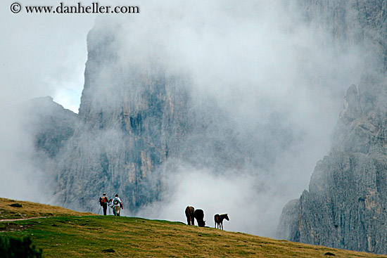 rasciesa-horses-in-fog-07.jpg