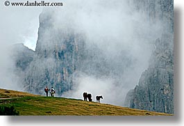 alto adige, dolomites, europe, fog, horizontal, horses, italy, rasciesa, rasciesa massif, photograph