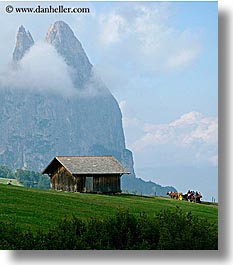 alto adige, carriage, dolomites, europe, horses, houses, italy, rosengarten, scenics, vertical, photograph