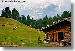 alto adige, dolomites, europe, horizontal, houses, italy, rosengarten, photograph