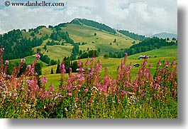 images/Europe/Italy/Dolomites/Rosengarten/Valley/rosengarten-valley-12.jpg
