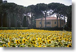 country, countryside, europe, horizontal, italy, po river valley, valley, photograph