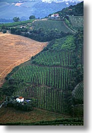 country, countryside, europe, italy, po river valley, valley, vertical, photograph
