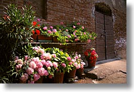 countryside, europe, flowers, horizontal, italy, po river valley, valley, photograph