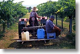 countryside, europe, horizontal, italy, po river valley, tractor, valley, photograph
