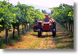 images/Europe/Italy/Po-Valley/Countryside/tractor02.jpg