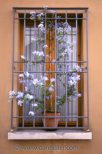 window11.jpg