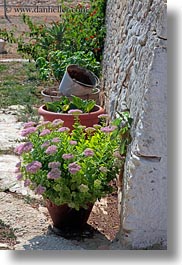 alberobello, europe, flowers, italy, pink, plants, pots, puglia, vertical, photograph