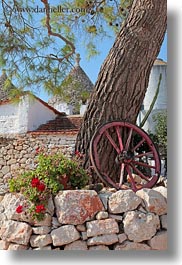 alberobello, europe, flowers, italy, plants, puglia, trees, vertical, wagons, wheels, photograph