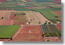 alberobello, europe, horizontal, italy, little, puglia, trullis, vineyards, photograph