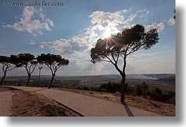 andria, castel del monte, europe, horizontal, italy, puglia, sun, trees, photograph