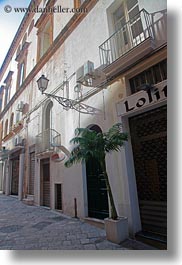 europe, gallipoli, italy, lamp posts, palm trees, puglia, vertical, photograph