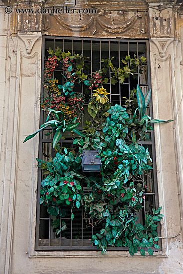 silk-plants-in-barred-window.jpg
