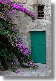 bougainvilleas, doors, europe, flowers, italy, matera, nature, plants, puglia, purple, vertical, photograph