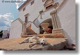 dogs, europe, fronts, horizontal, houses, italy, masseria murgia albanese, noci, puglia, step, photograph