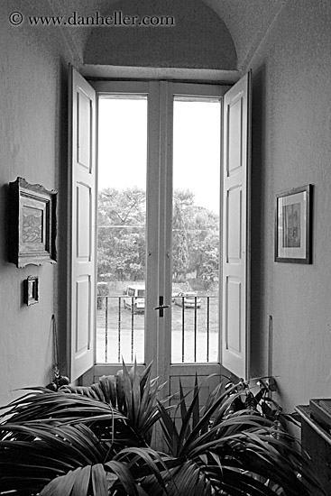 interior-windows-2-bw.jpg