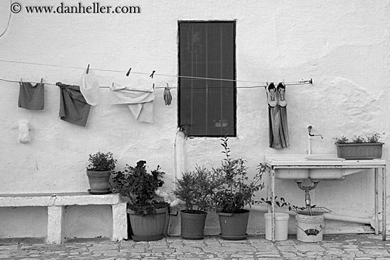 laundry-n-plants-bw.jpg